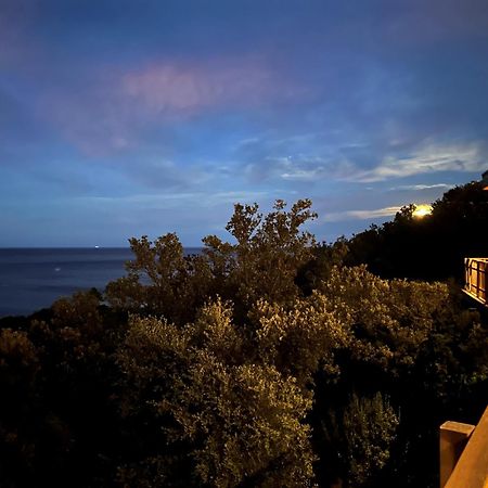 Villa L'Alpana En Bois Vue Mer A 180 Degres 萨利索伦泽哈 外观 照片